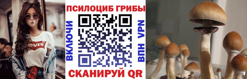 Псилоцибиновые грибы Magic Shrooms  купить наркотики цена  Хвалынск 